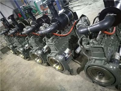 點擊查看詳細信息<br>標題：龍工30裝載機發(fā)動機 閱讀次數(shù)：1860