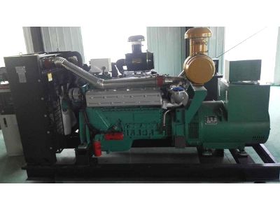 點(diǎn)擊查看詳細(xì)信息<br>標(biāo)題：250千瓦發(fā)電機(jī)組 閱讀次數(shù)：1655